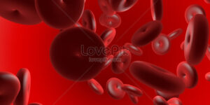 celulas de la sangre