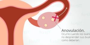 sangrado durante la ovulacion