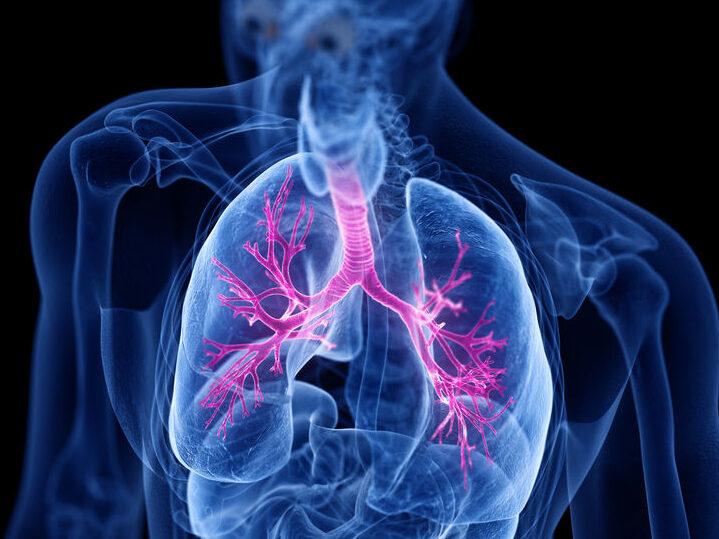 pulmones sanos y terapias innovadoras